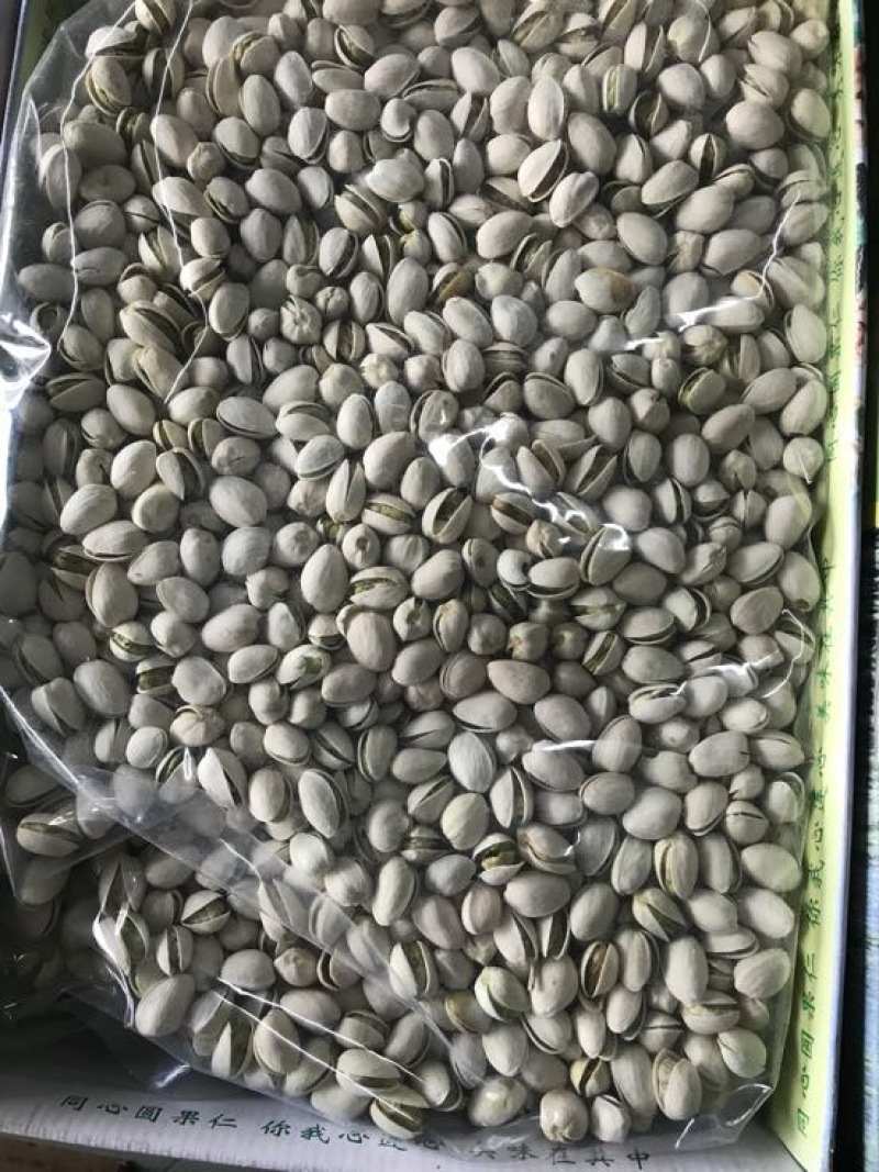 开心果特级