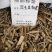 红毛五加皮中药材批发可一件代发