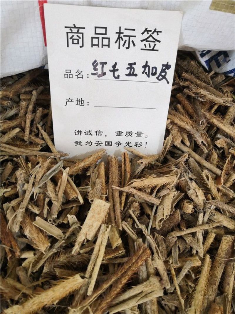 红毛五加皮中药材批发可一件代发