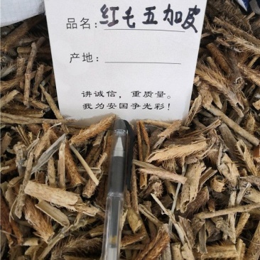 红毛五加皮中药材批发可一件代发