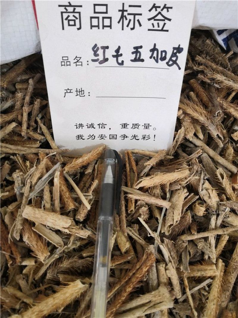 红毛五加皮中药材批发可一件代发