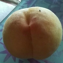 锦绣黄桃