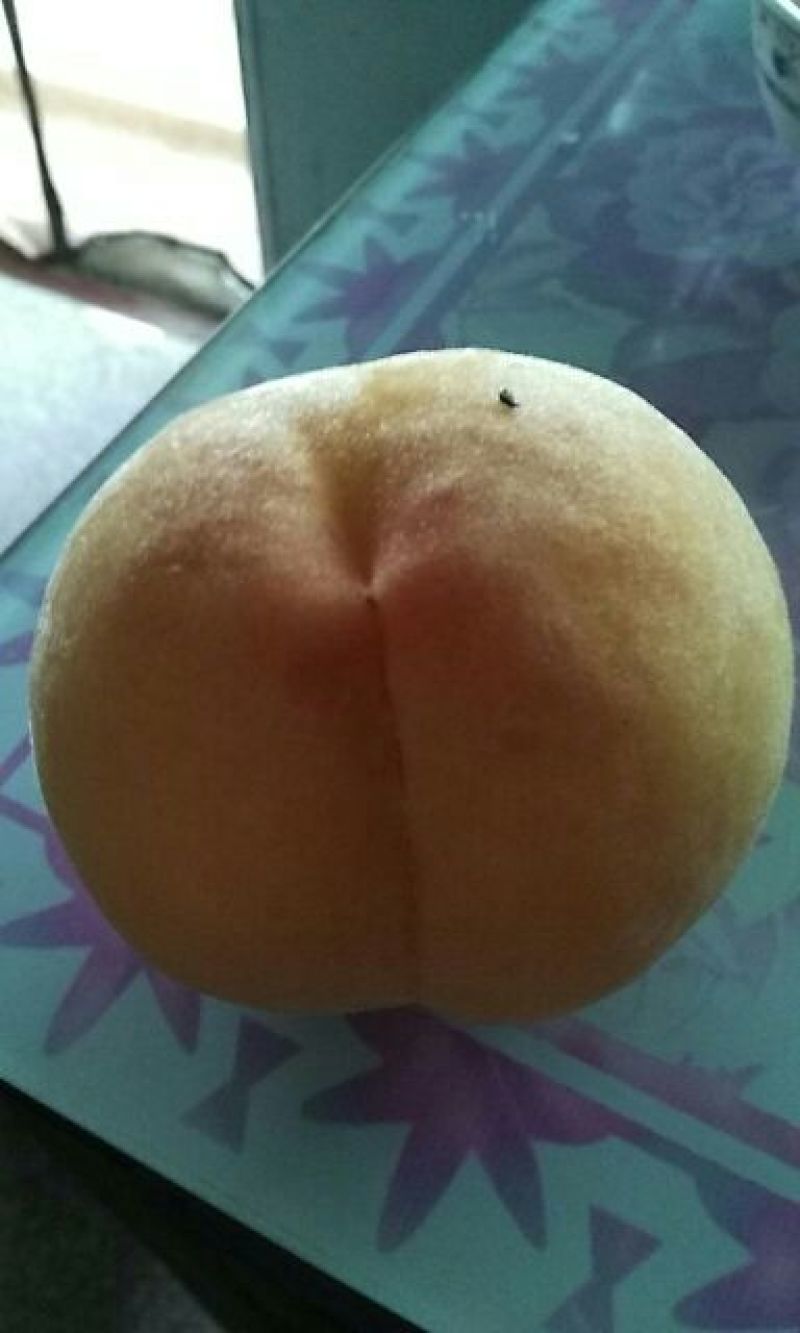 锦绣黄桃