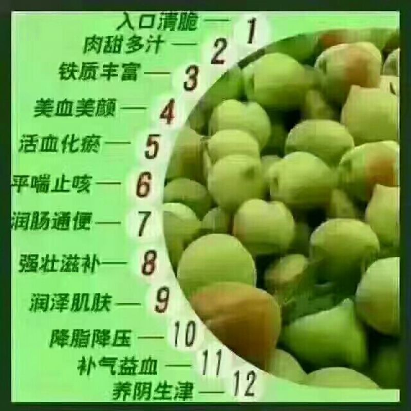 赣南鹰嘴桃