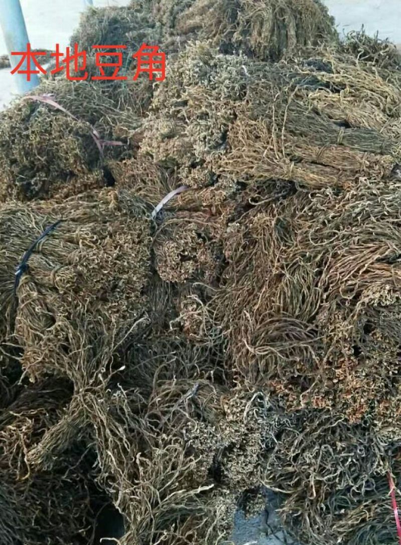 干豇干豆角干干长豆角