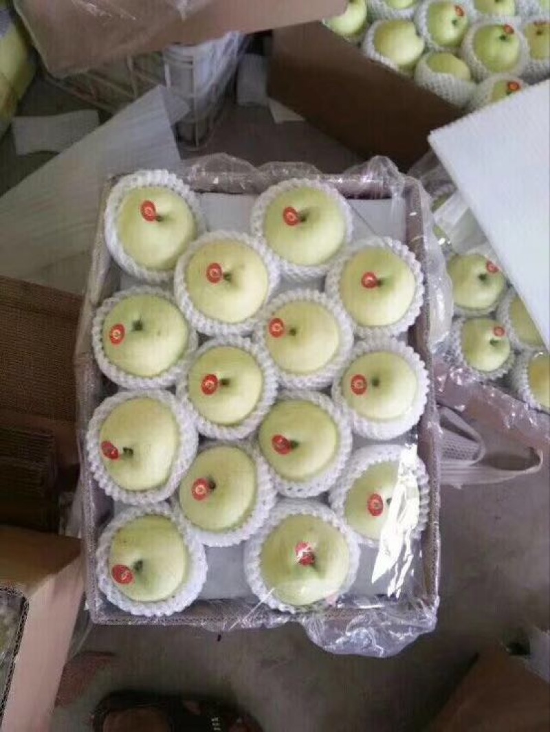 绿宝石梨250~300g纸袋