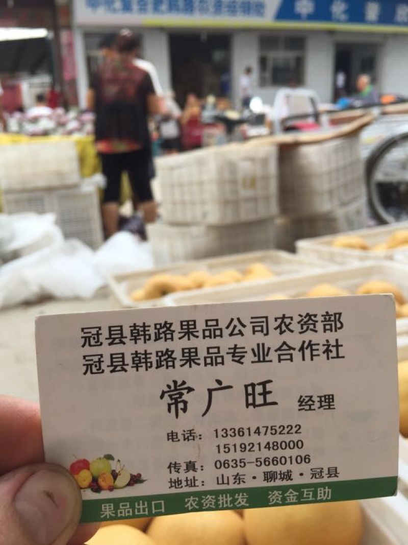 绿宝石梨250~300g纸袋