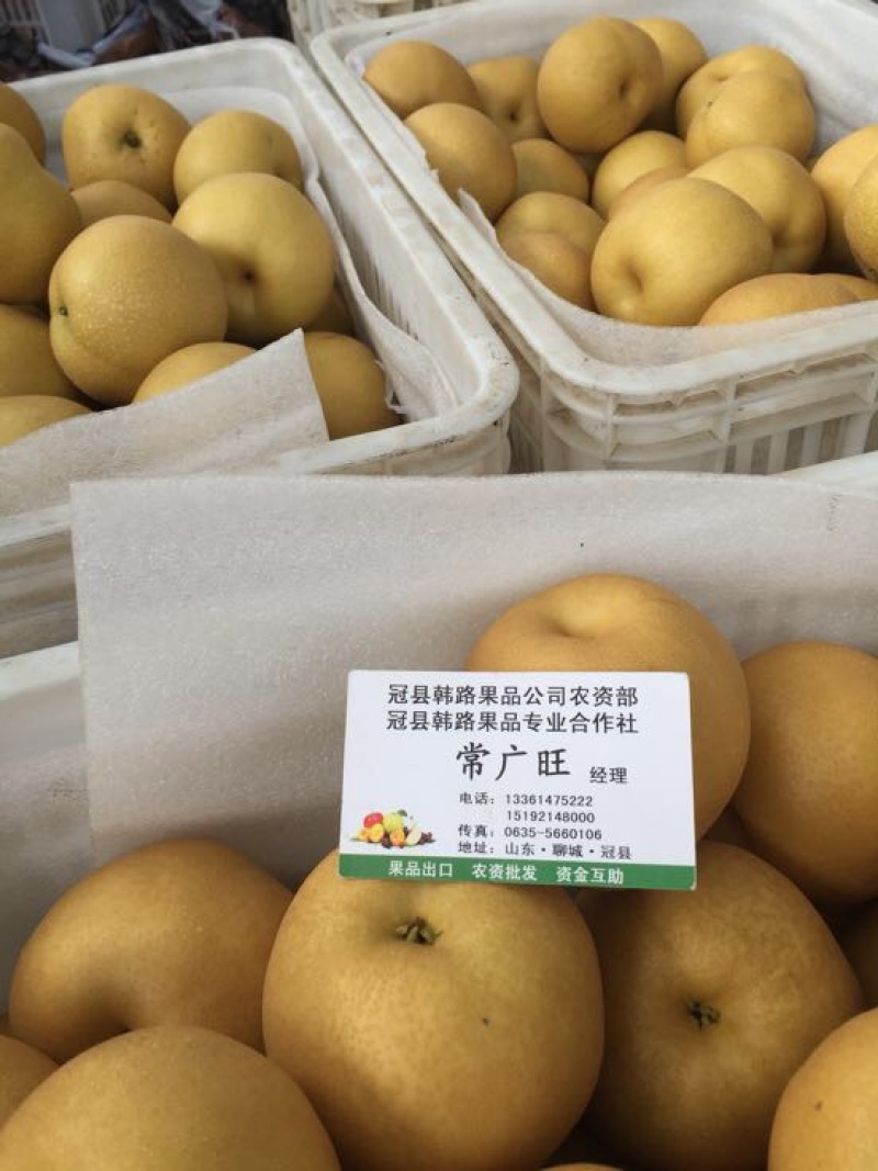 绿宝石梨250~300g纸袋