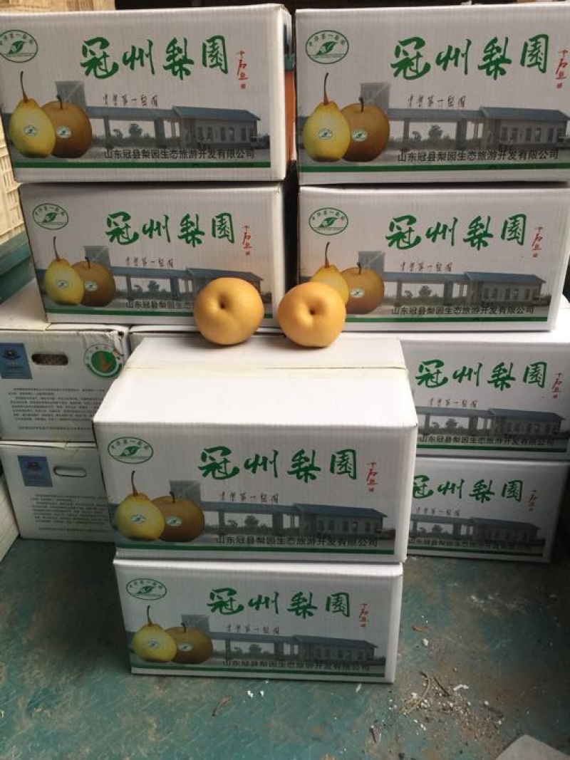 丰水梨300~350g纸箱