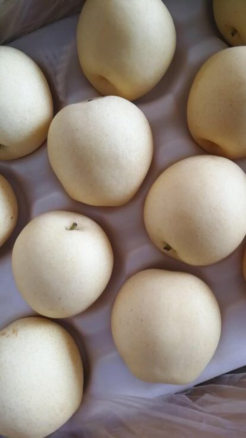 黄金梨250~300g纸箱
