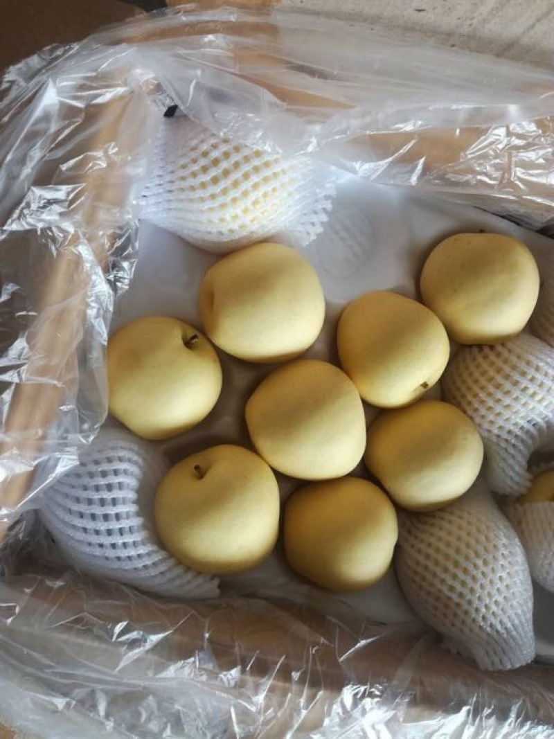 黄金梨250~300g纸箱