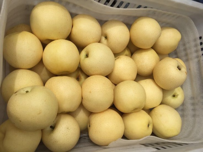 黄金梨250~300g纸箱
