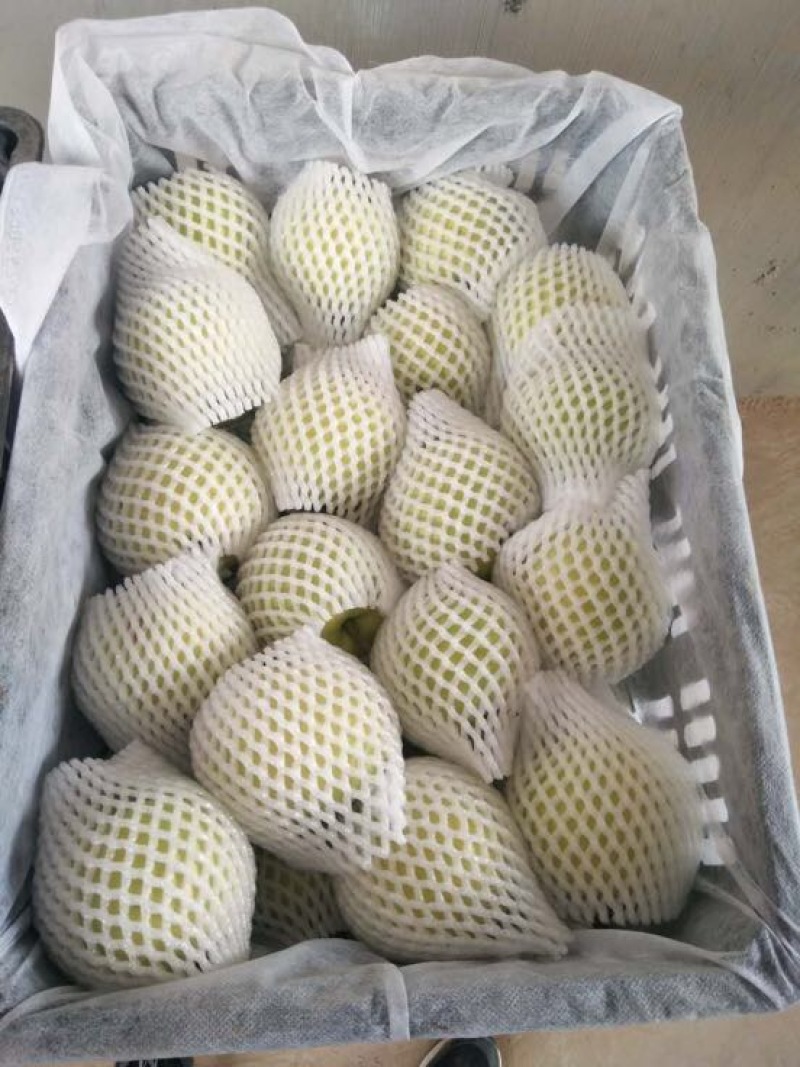 黄金梨250~300g纸箱