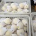 黄金梨250~300g纸箱