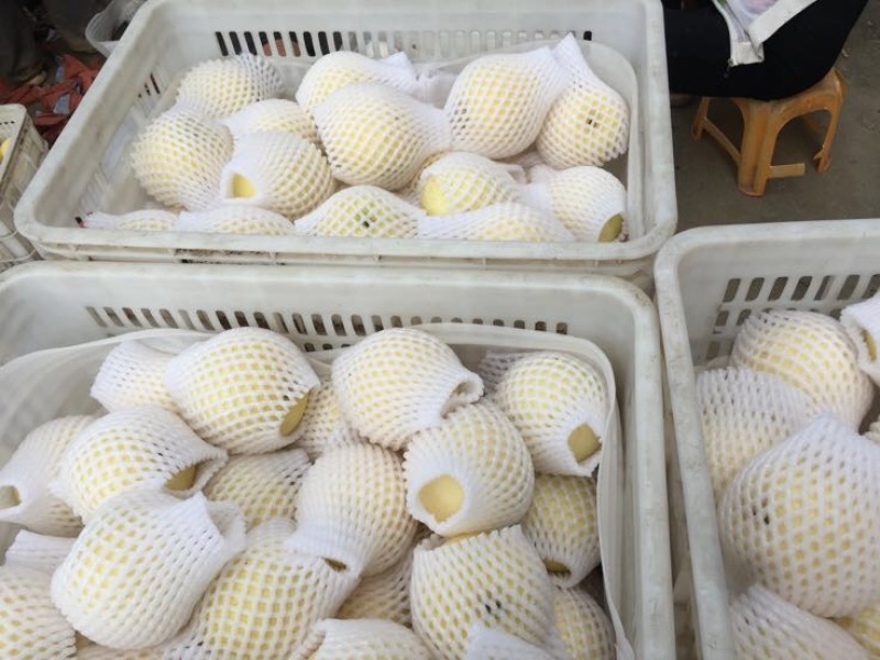 黄金梨250~300g纸箱