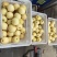 黄金梨250~300g纸箱