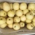 黄金梨250~300g纸箱