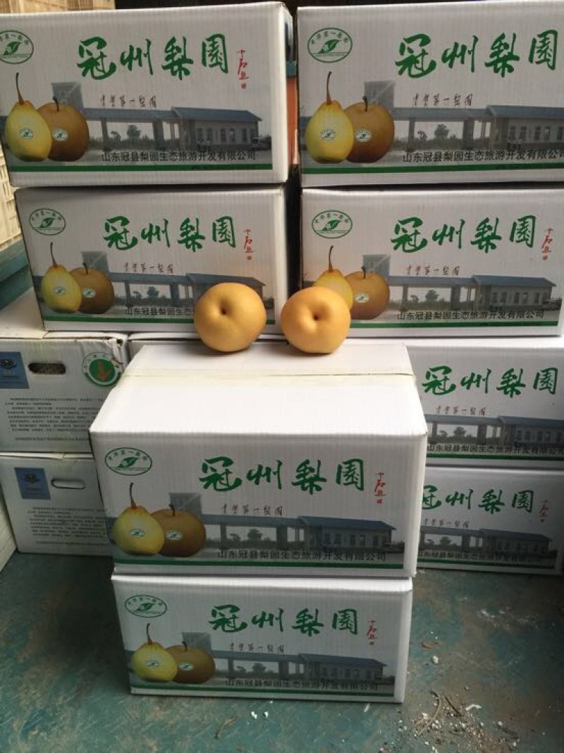 秋月梨300~350g纸箱