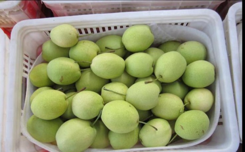 秋月梨300~350g纸箱