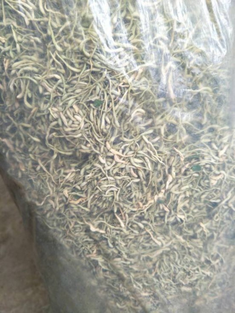 金银花色白花全花蕾，颜色好，质量纯，干度好，