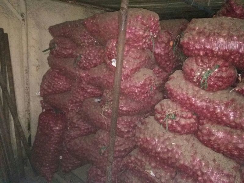 二红缅甸小洋葱3--5厘米