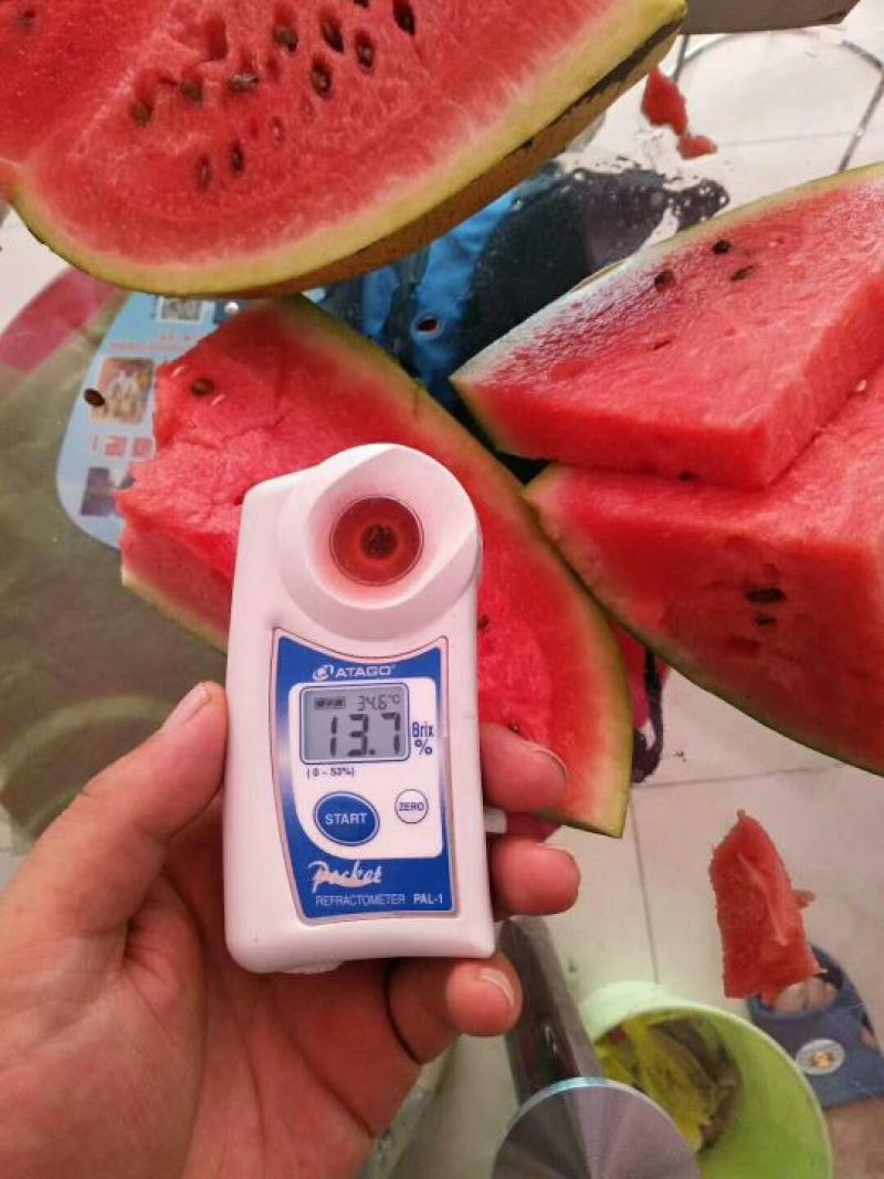 品质好，西瓜甜，价格实惠