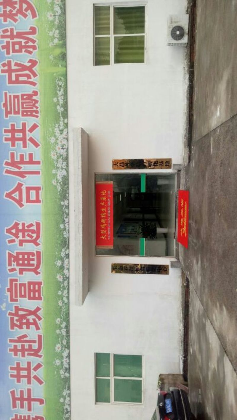 鸡苗，鸭苗！鹅苗！包回收！