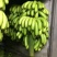 香蕉七成熟