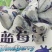 批发价位含花青素最多长白山纯蓝莓干