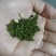 吴茱萸中花