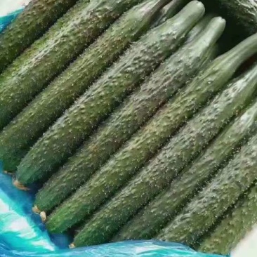 视频真实，质量保证，价格美丽