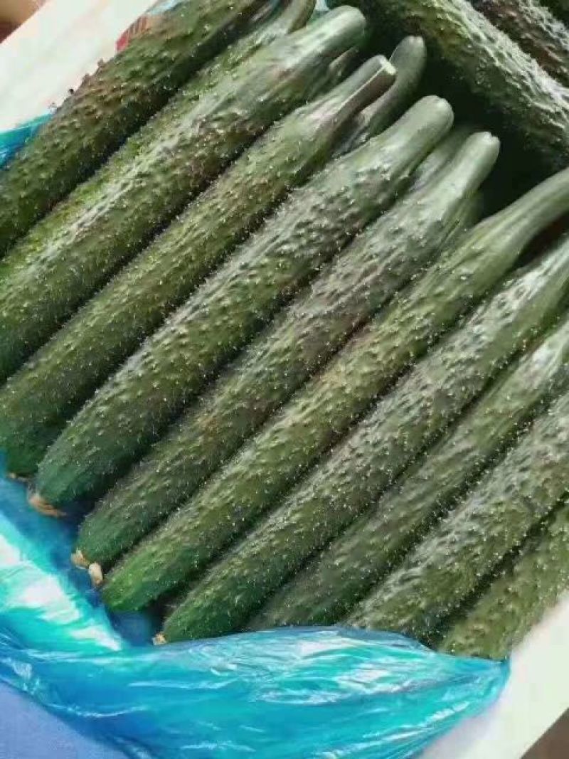 视频真实，质量保证，价格美丽