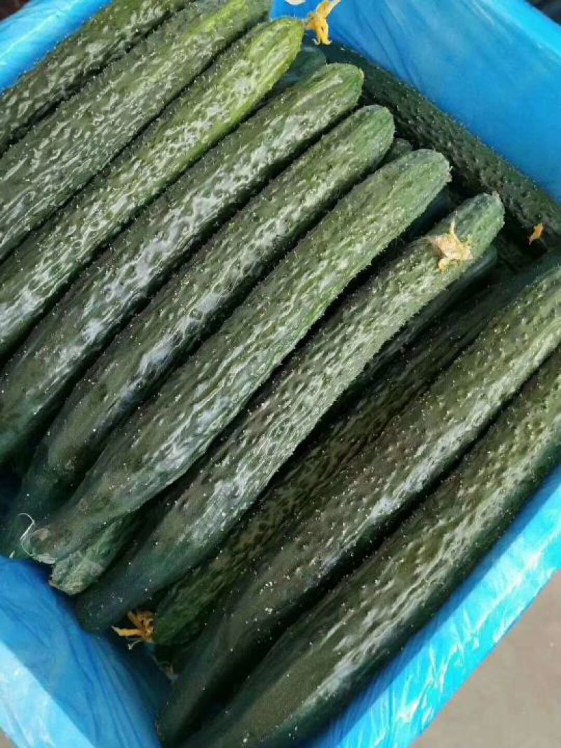 视频真实，质量保证，价格美丽