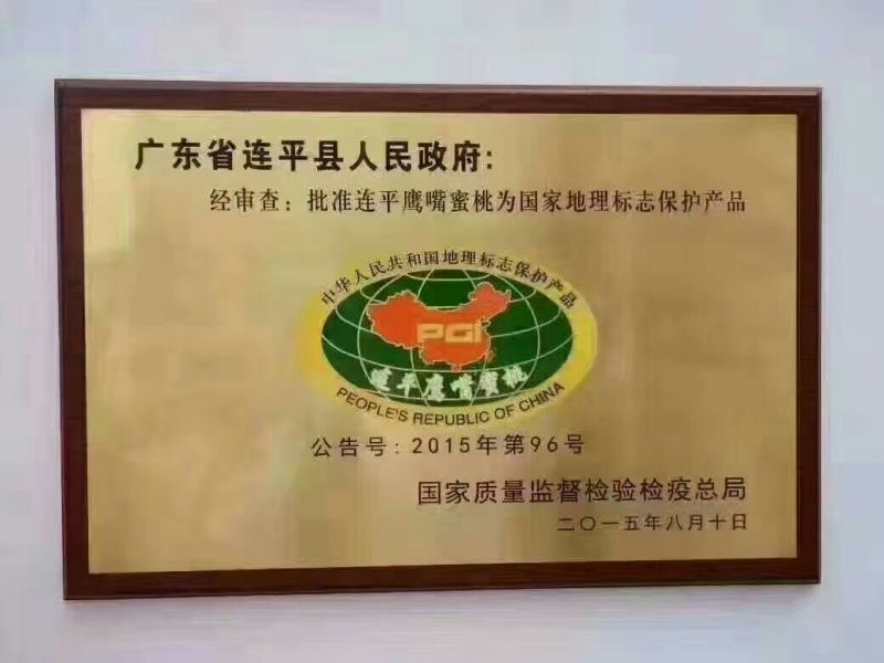 正宗连平鹰嘴蜜桃（基地直销）