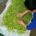 黄花菜鲜货一级