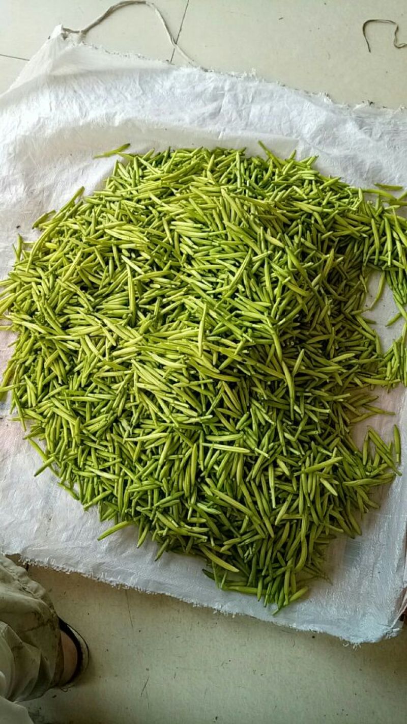 黄花菜鲜货一级