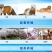 优质肉粉鸡肉粉牛肉骨粉全部厂家直供没有中间商品质保障