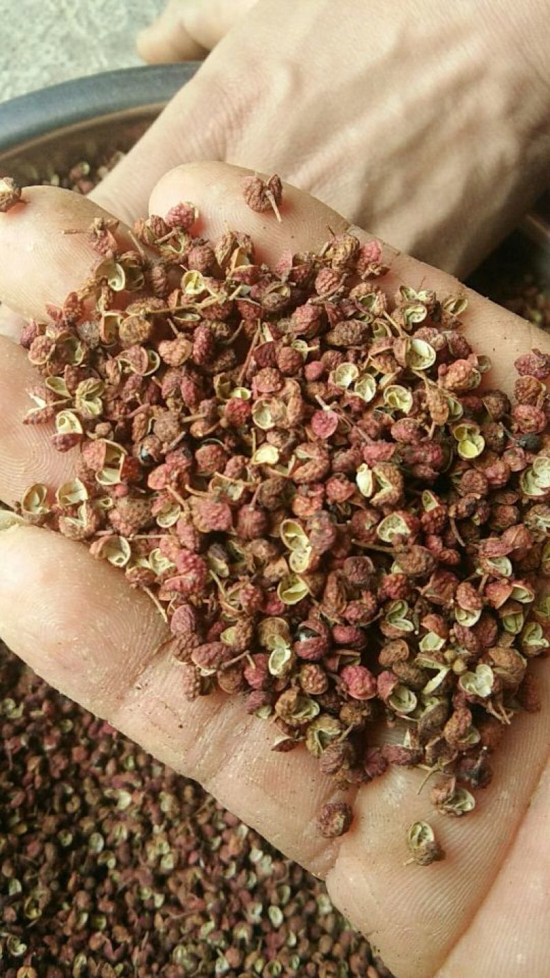 （实图诚信商家）大红袍花椒特级干红净麻