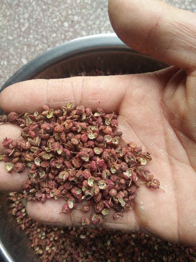 （实图诚信商家）大红袍花椒特级干红净麻