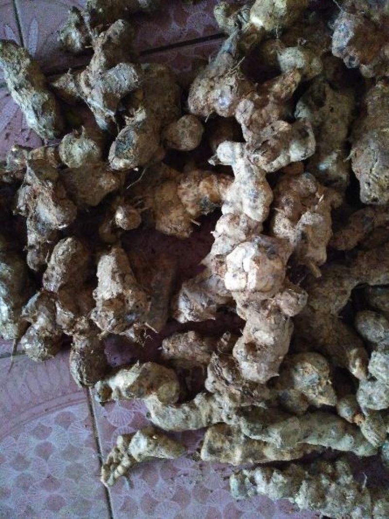 土茯苓衡阳野生干片干货