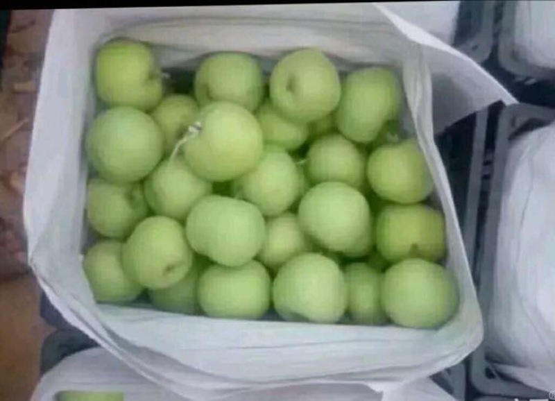 绿宝石梨大量供应随时有货