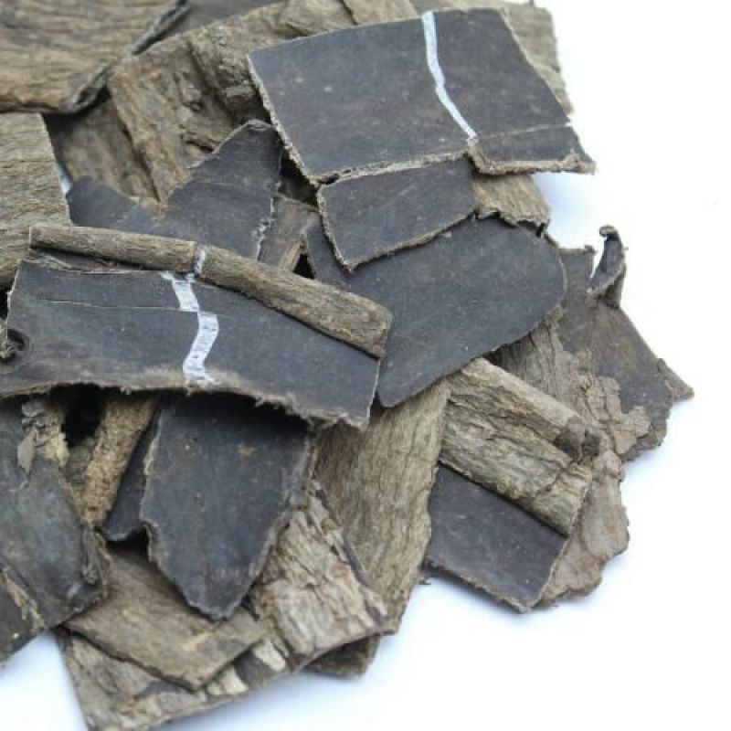 杜仲丝绵树皮厚皮药村常年有货