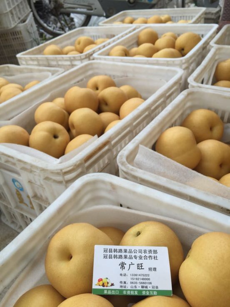 丰水梨产地供应万亩梨园代收代办