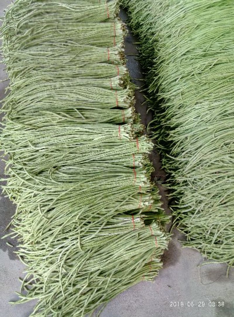 豇豆大量上市产地直供，一手货源，对接商超、加工厂
