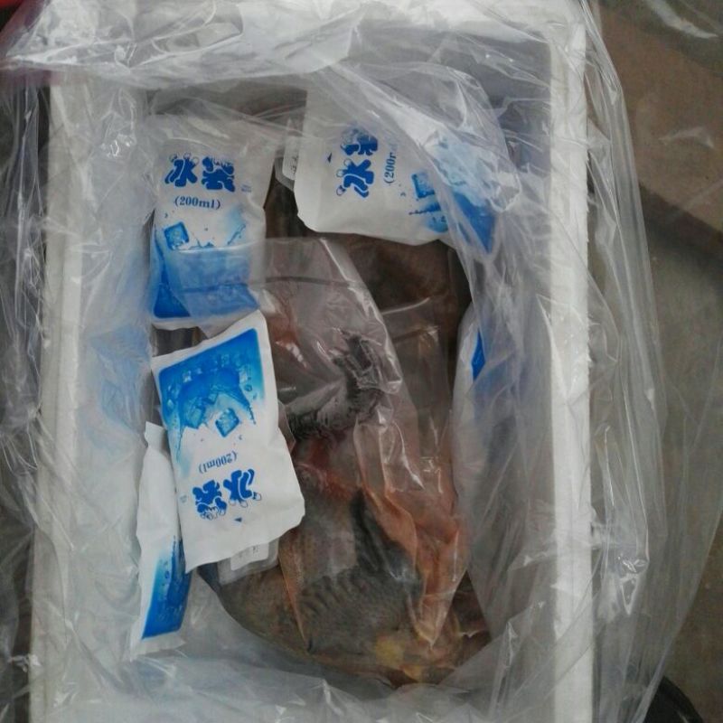 乌骨鸡一普洱野象林月子鸡