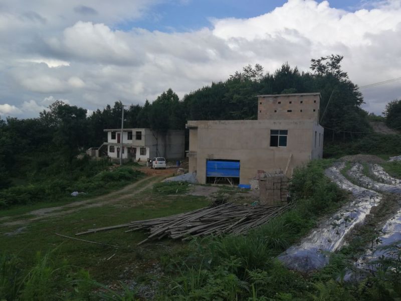 宅基地