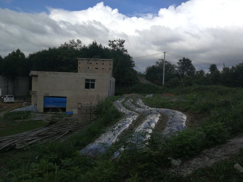 宅基地