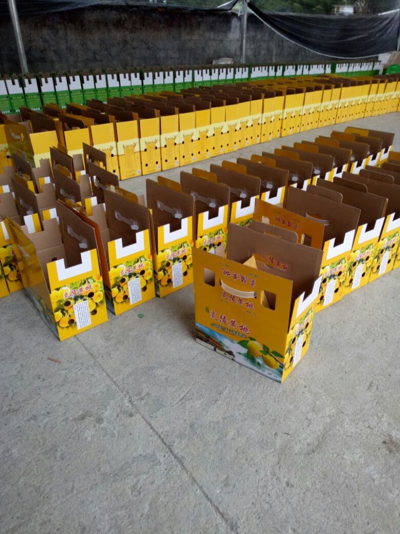 7月20开始炎陵黄桃品质信用第一