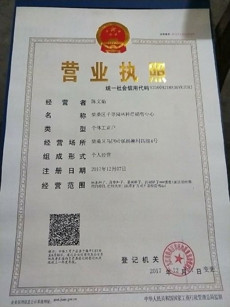新采杨梅种子水果树种子东魁杨梅圣生梅嫁接杨梅砧木种子