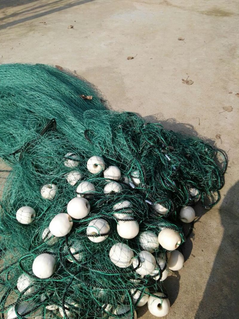 养殖网箱草鱼网箱泥鳅网箱水蛭蚂蟥养殖网箱